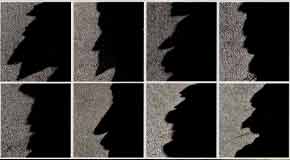 The whisper of the shadow